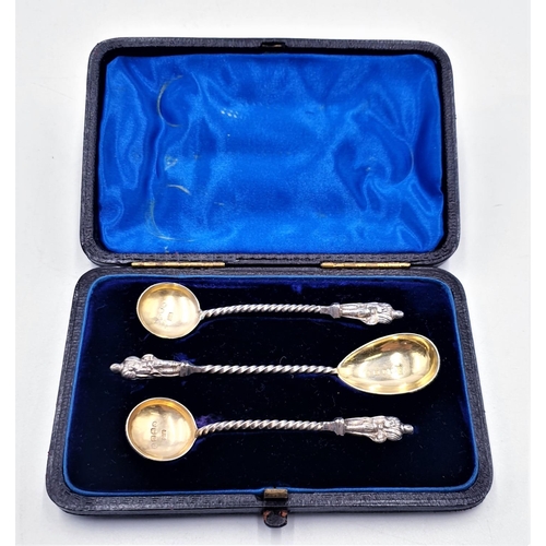 169 - SOLID SILVER (Boxed Set Of ) APOSTLE SPOONS  (Hallmarked For Birmingham 1883)