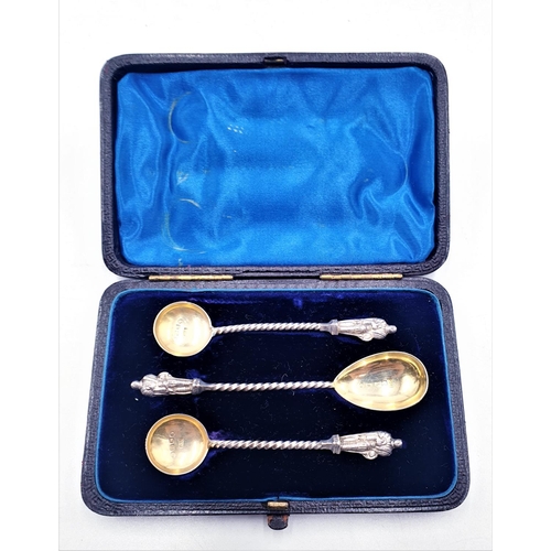 169 - SOLID SILVER (Boxed Set Of ) APOSTLE SPOONS  (Hallmarked For Birmingham 1883)