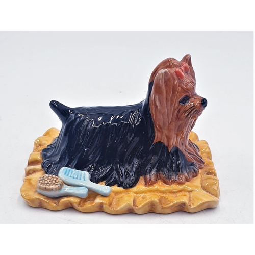 231 - ROYAL DOULTON MODEL OF A YORKSHIRE TERRIER RDA 68