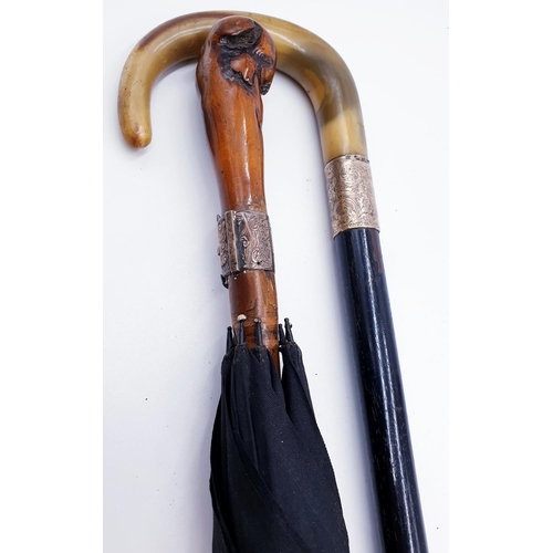 272 - VICTORIAN UMBRELLA With HICKORY ROOT HANDLE And SILVER BUCKLE BAND Inscribed 