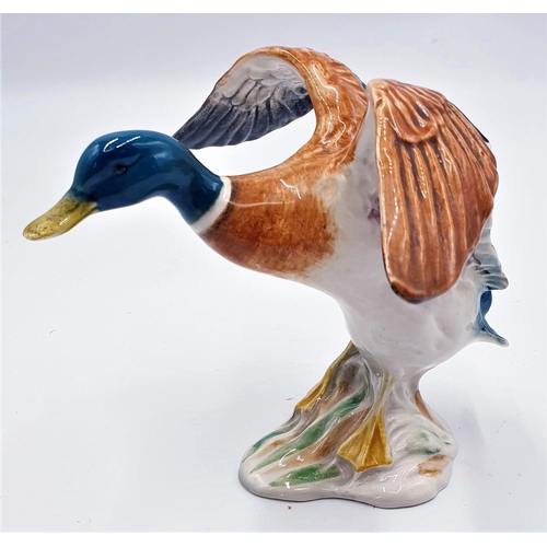 98 - BESWICK Large 16.5cm MODEL OF A MALLARD DUCK (Settling) (Model No 750) 1939-1965 Designed By Mr Arth... 