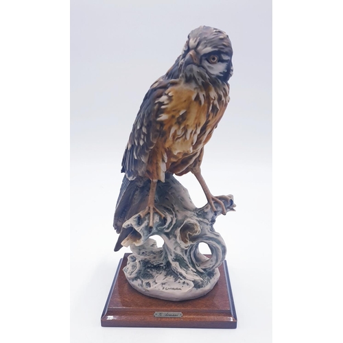 154 - CAPODIMONTE Large 30.5cm MODEL  OF A BIRD OF PREY ON BRANCH MOUNTED ON A WOODEN PLINTH Signed (Pleas... 