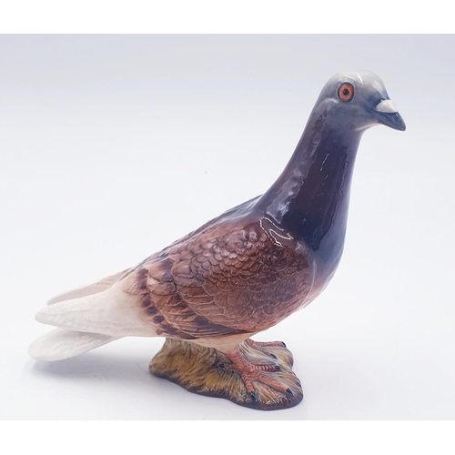 177 - BESWICK Large 14cm MODEL OF A PIGEON Model No 1383B (Red Gloss Colourway) 2nd Version 1955/89 Design... 