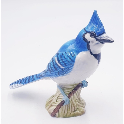 185 - BESWICK 11.9cm MODEL BLUE JAY (Gloss Colourway) Model No 2188 1968/73 Designed By Mr Albert Hallam (... 