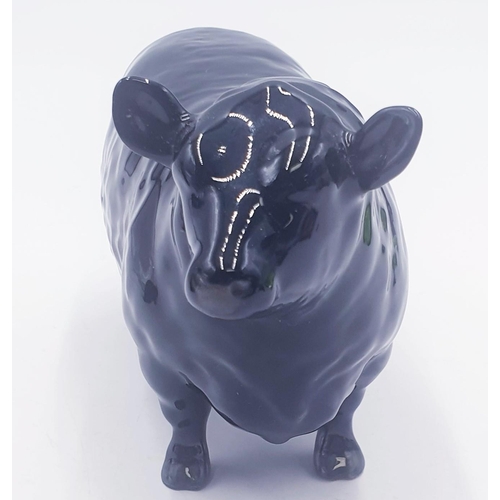 198 - BESWICK MODEL ABERDEEN ANGUS BULL Model No 1562 (Gloss) This Model Was Approved By Panel Of Judges O... 