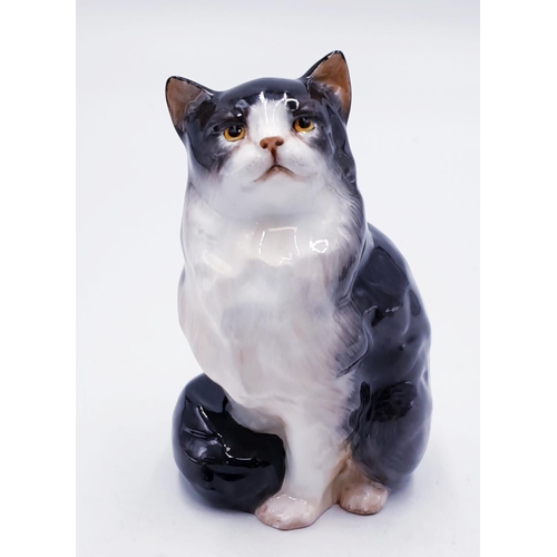 138 - ROYAL DOULTON Small 12.7cm MODEL OF A PERSIAN CAT (Seated) (Style One) HN 999 (Model No 690) 1930/85... 