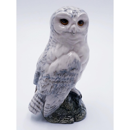 57A - ROYAL DOULTON 16.5cm WHISKY FLASK MODELLED AS A SNOWY OWL  (White Gloss Colourway) (Issued 1987) Des... 