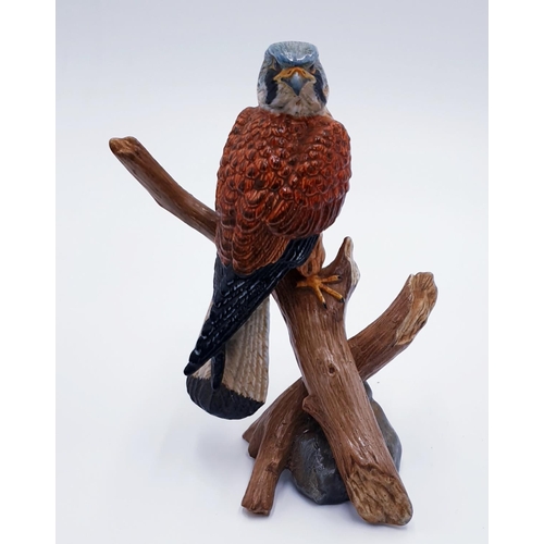 61 - MACK CHINA (Stoke On Trent , Staffordshire) 18cm MODEL OF A KESTRAL ON BRANCHES Signed By R.J. Mack ... 