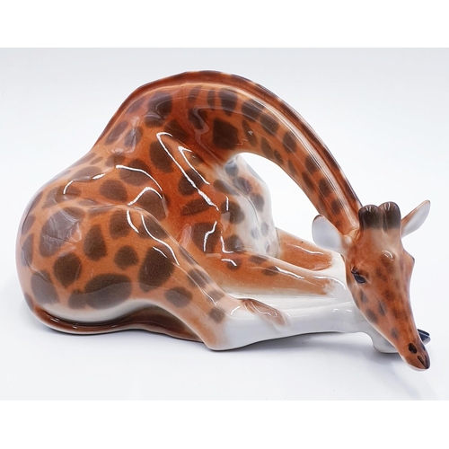 65 - LOMONOSOV PORCELAIN (U.S.S.R.) Extra Large 13cm Tall x 26cm Long MODEL OF A GIRAFFE