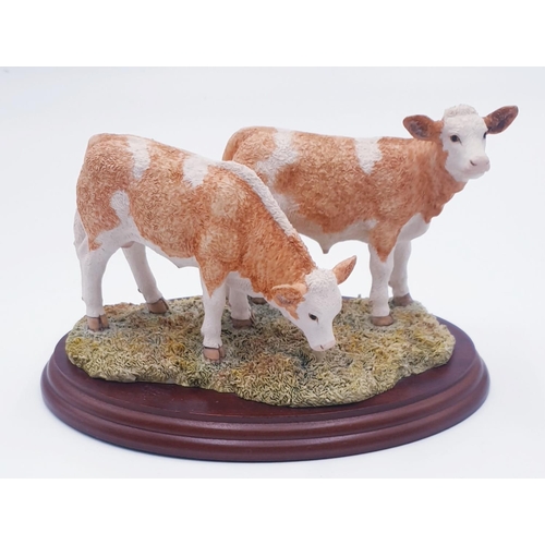 70A - BORDER FINE ARTS 20cm x 12cm x MODEL OF SIMMENTAL CALVES