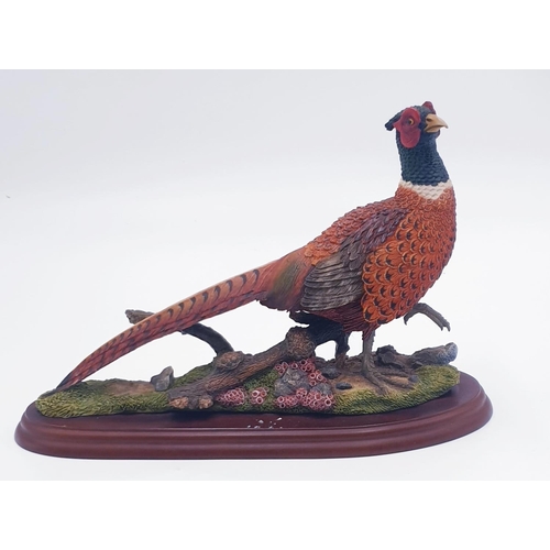 75A - BORDER FINE ARTS Extra Large 28cm x 18.35cm MODEL OF A PHEASANT (Model No A1475) Modelled By Mr Russ... 