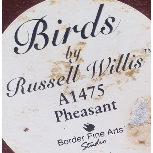 75A - BORDER FINE ARTS Extra Large 28cm x 18.35cm MODEL OF A PHEASANT (Model No A1475) Modelled By Mr Russ... 