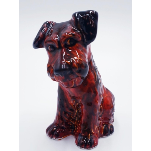 865 - ANITA HARRIS ART POTTERY 14cm MODEL OF A CUTE TERRIER (Signed In Gold By Anita Harris)