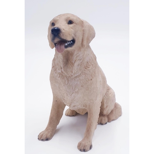 897 - LESSER & PAVEY  (Leonardo Design Studio's,Dartford,Kent) Large ____cm MODEL OF A GOLDEN LABRADOR