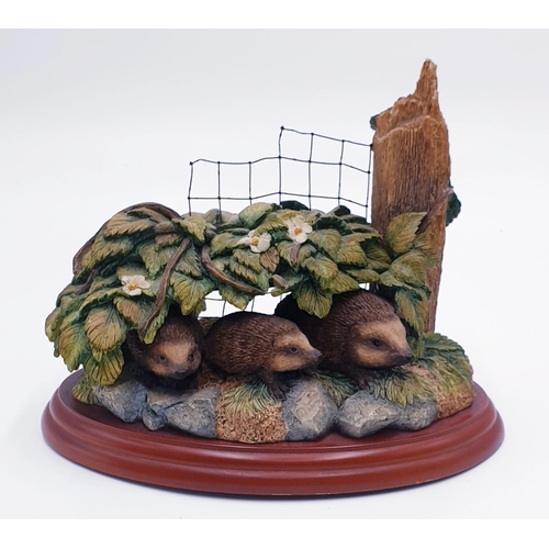 967 - BORDER FINE ARTS MODEL OF AN HEDGEHOG FAMILY (Model No A0402) 