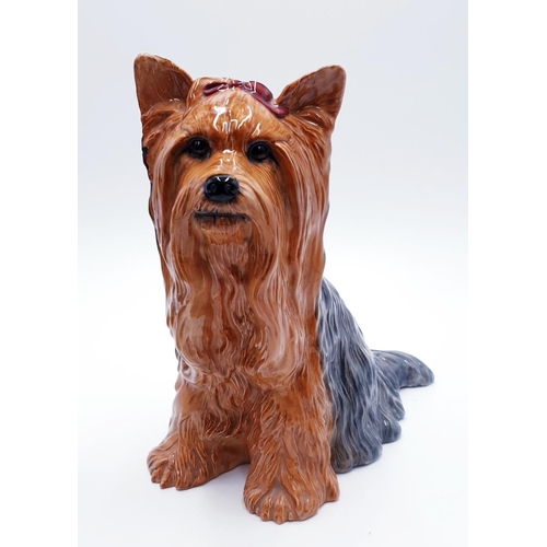 919 - BESWICK Large 26cm MODEL of YORKSHIRE TERRIER Model  No 2377. 1971/1989 Designed By Mr Graham Tongue... 