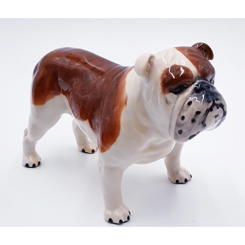 920 - BESWICK Large 14cm MODEL OF A BULLDOG 