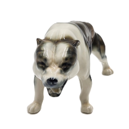 139 - ELITE POTTERY (Newcastle Street,Burslem,Stoke On Trent) 21cm MODEL OF A SNARLING STAFFORDSHIRE BULL ... 