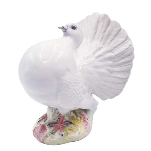 635 - BESWICK 12.7cm MODEL OF A FANTAIL PIGEON (Model No 1614) (White Gloss) 1959/69 Designed By Mr Arthur... 