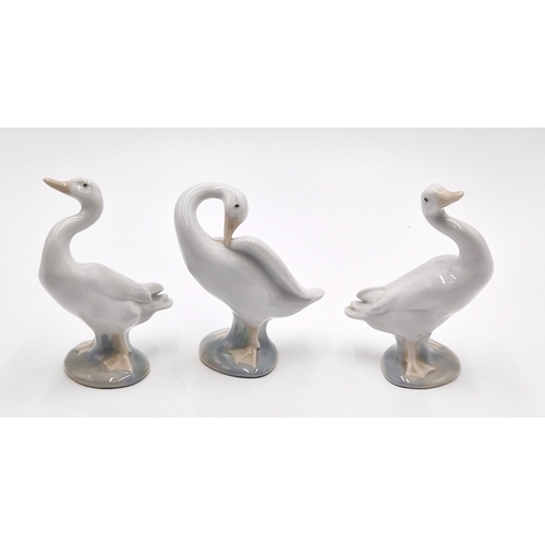 247 - LLADRO MODELS OF THREE GEESE