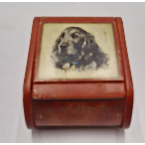 600 - DOG CIGARETTE BOX/MONEY BOX