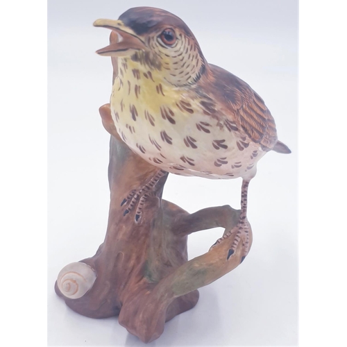 702 - CROWN STAFFORDSHIRE CHINA 13.5 cm MODEL OF A SONG THRUSH By Designer Mr John Bromley