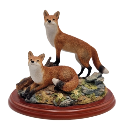 165 - BORDER FINE ARTS Large 21.5 x 15cm x 16.5cm MODEL OF TWO FOXES 