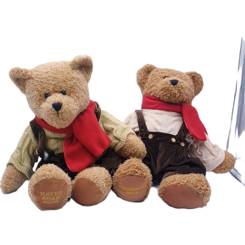 269 - TEDDY BEARS (2)