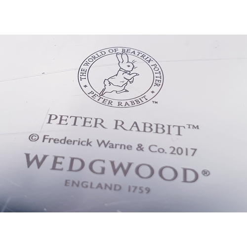 522 - WEDGWOOD / CHROME BEATRIX POTTER 