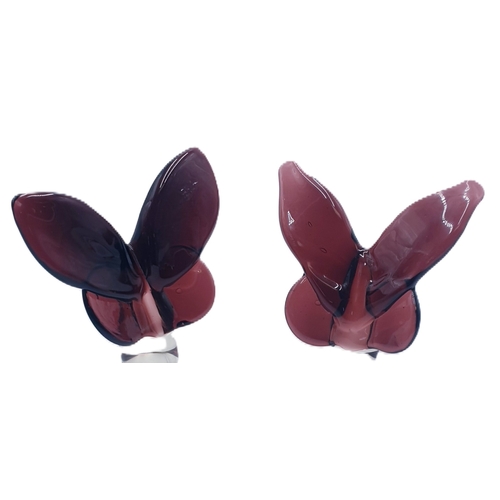 635 - GLASS MODELS OF TWO BUTTERFLIES