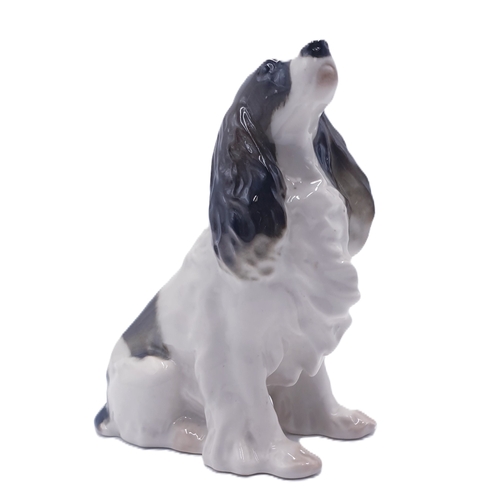 674 - U.S.S.R. PORCELAIN 14cm MODEL OF A COCKER SPANIEL