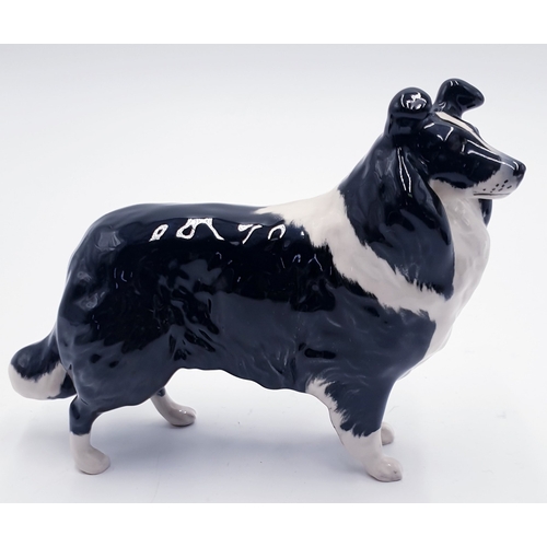 89 - BESWICK 14cm MODEL OF A SHEEPDOG (Large) (Black/White Gloss Colourway) Model No 1792 1961/94 Designe... 