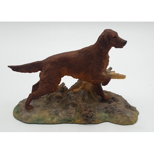 686 - AYNSLEY 20cm x 14cm MODEL OF A RED SETTER