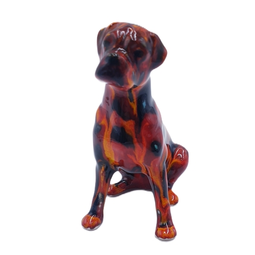 159 - ANITA HARRIS ART POTTERY 12.5cm MODEL OF A BOXER DOG Signed In Gold By Anita Harris