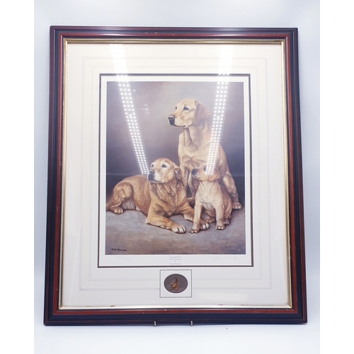 468 - FRAMED & GLAZED Extra Large 64cm x 53cm PRINT DEPICTING A FAMILY OF THREE LABRADORS 