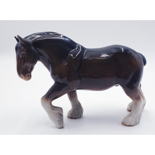 567 - SYLVAC 17cm MODEL OF A SHIRE HORSE (Brown Gloss Colourway)