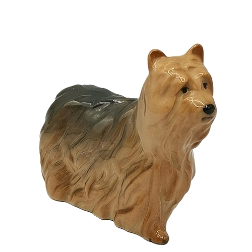 7 - BESWICK MODEL OF YORKSHIRE TERRIER (Original Box)