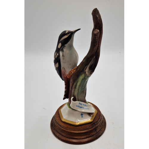 566 - CAPO DE MONTE PORCELAIN 22.5cm MODEL OF A RED PIED WOODPECKER MOUNTED ON A POLISHED WOODEN PLYNTH