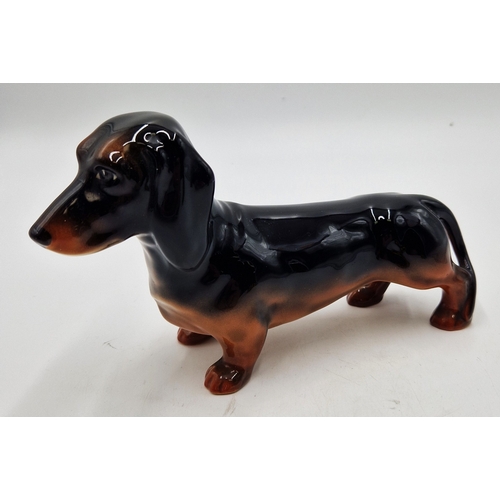 576 - BESWICK Large 22cm x 14cm MODEL OF A DACHSHUND