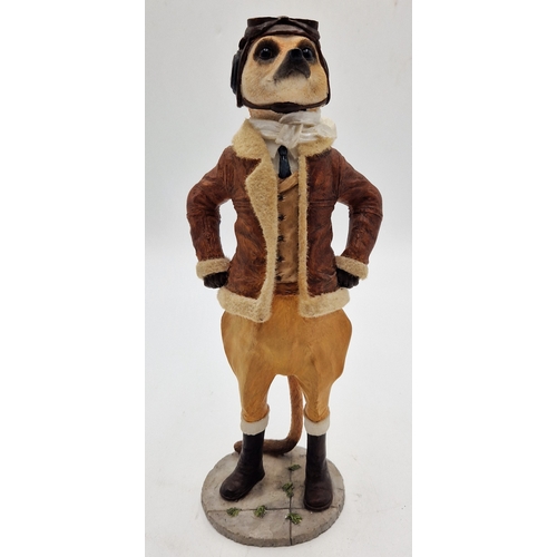 805 - COUNTRY ARTISTS Large 26cm MEERKAT AS A PILOT