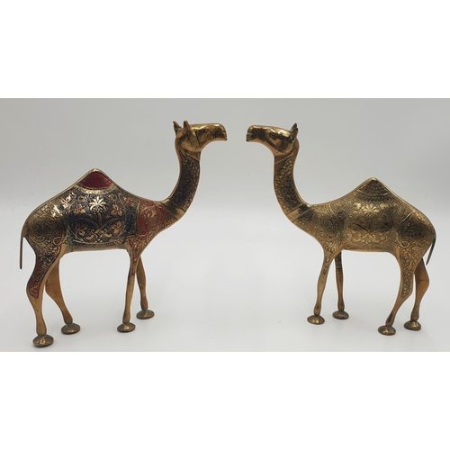 498 - BRASS Large 20cm MODELS OF TWO CAMELS