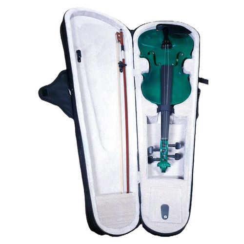 546 - VIOLIN IN CASE