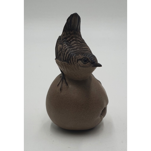 673 - POOLE POTTERY MODEL OF A BIRD ON AN APPLE