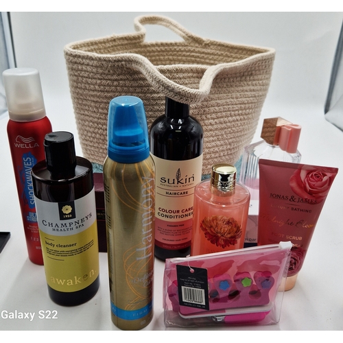 619 - BAG CONTAINING BODY WASH, HAIR CARE PRODUCTS, Etc