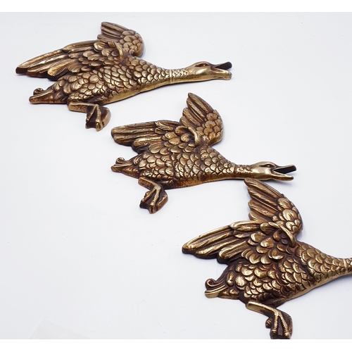 770 - BRASS WALL DUCKS (3)