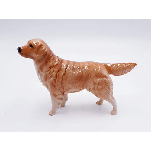 160 - BESWICK MODEL Large 14cm MODEL OF A GOLDEN RETRIEVER 