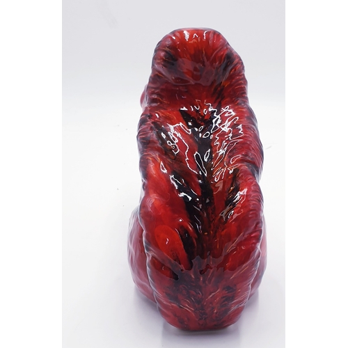 171 - ANITA HARRIS ART POTTERY LIFE SIZE Large 21cm x 30cm MODEL OF A RED SQUIRREL Signed In Gold By Anita... 