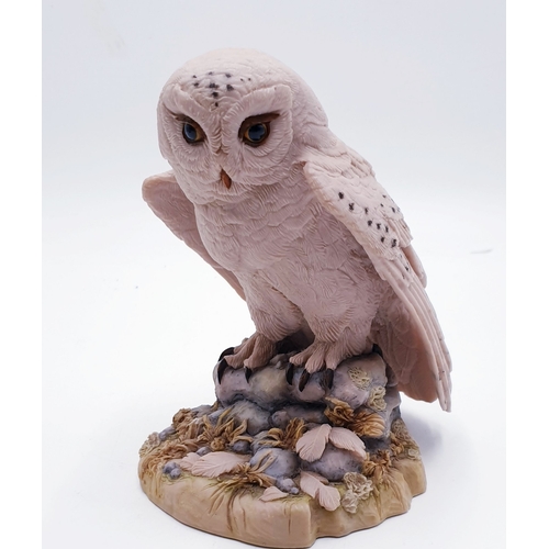 206 - TEVIOTDALE 16cm MODEL OF AN OWL