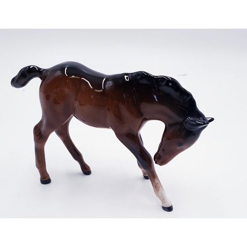 209 - BESWICK MODEL OF A FOAL (Gloss)