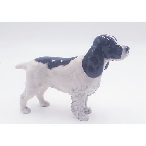 441 - BESWICK Large 14.6cm MODEL OF A COCKER SPANIEL 